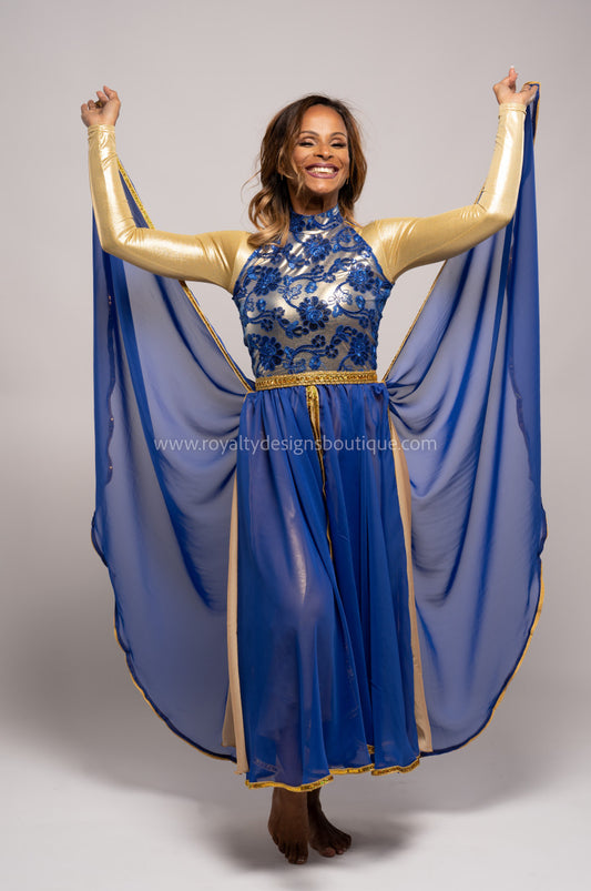 Princess Royal Blue Dress with Elegant top and lots of trimming Chiffon blue and gold Skirt - Christmas Collection