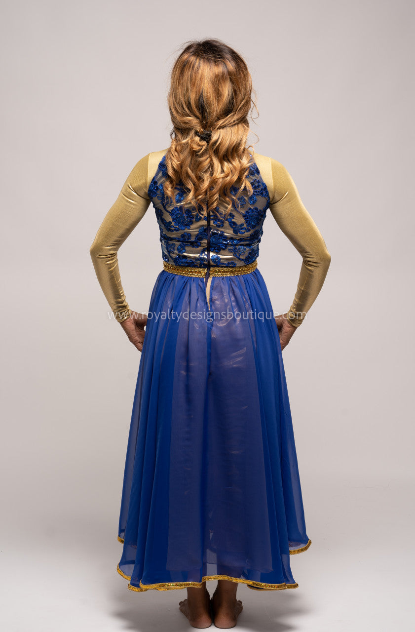 Princess Royal Blue Dress with Elegant top and lots of trimming Chiffon blue and gold Skirt - Christmas Collection