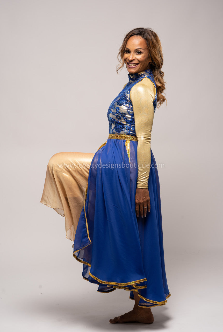 Princess Royal Blue Dress with Elegant top and lots of trimming Chiffon blue and gold Skirt - Christmas Collection