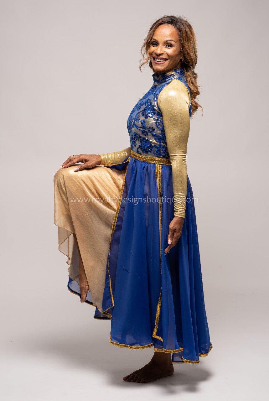 Princess Royal Blue Dress with Elegant top and lots of trimming Chiffon blue and gold Skirt - Christmas Collection