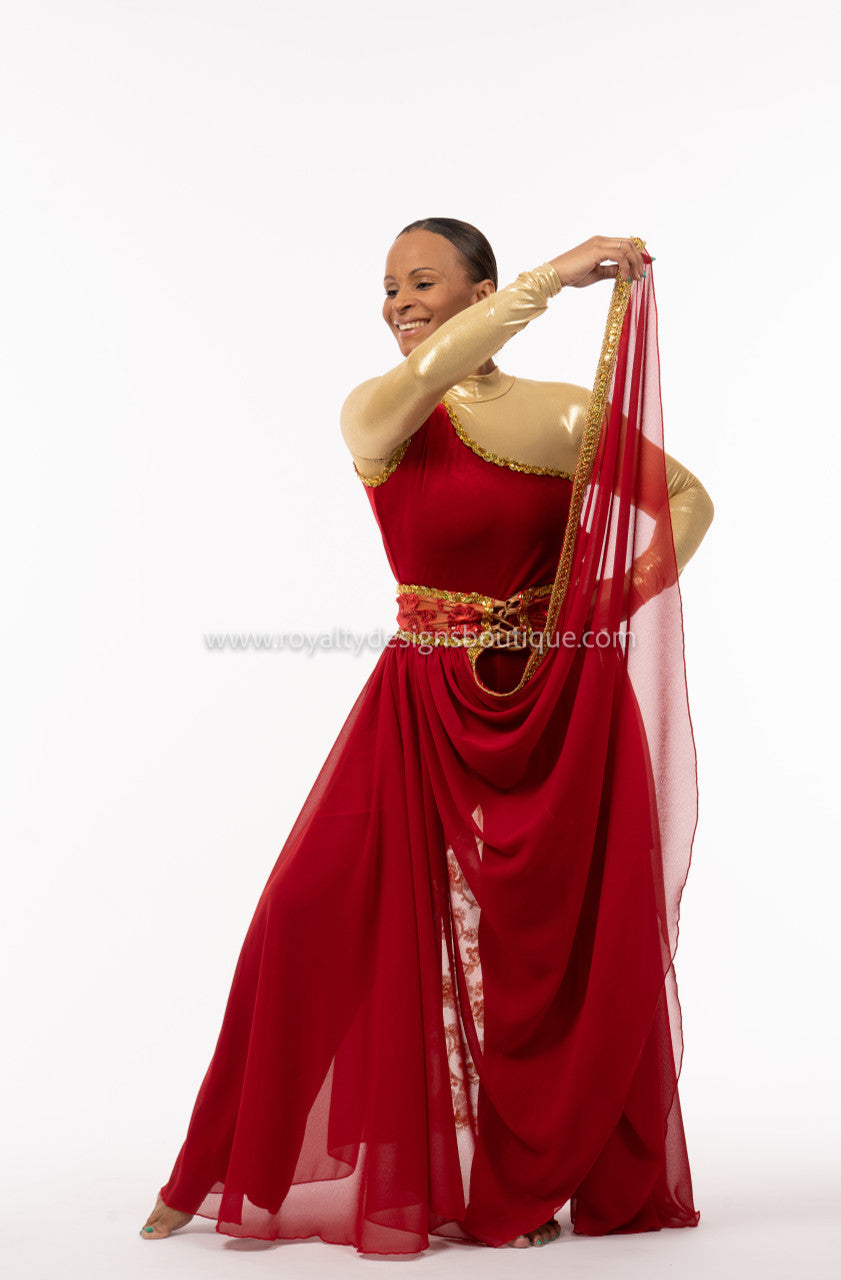 Two (2) piece Set - Red velvet Unitard with elegant king trimmed chiffon skirt -   Christmas Collection