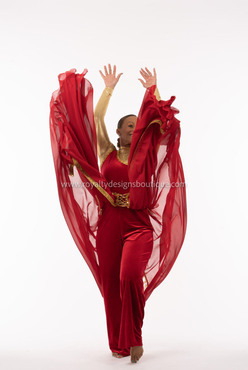 Two (2) piece Set - Red velvet Unitard with elegant king trimmed chiffon skirt -   Christmas Collection